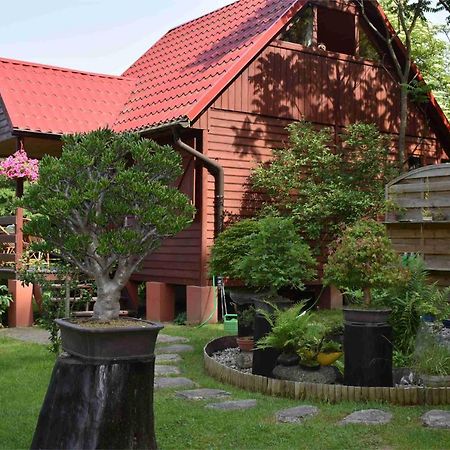 Ogród Shinrin Yoku Odpoczynek w Lesie Srokowo Exterior foto