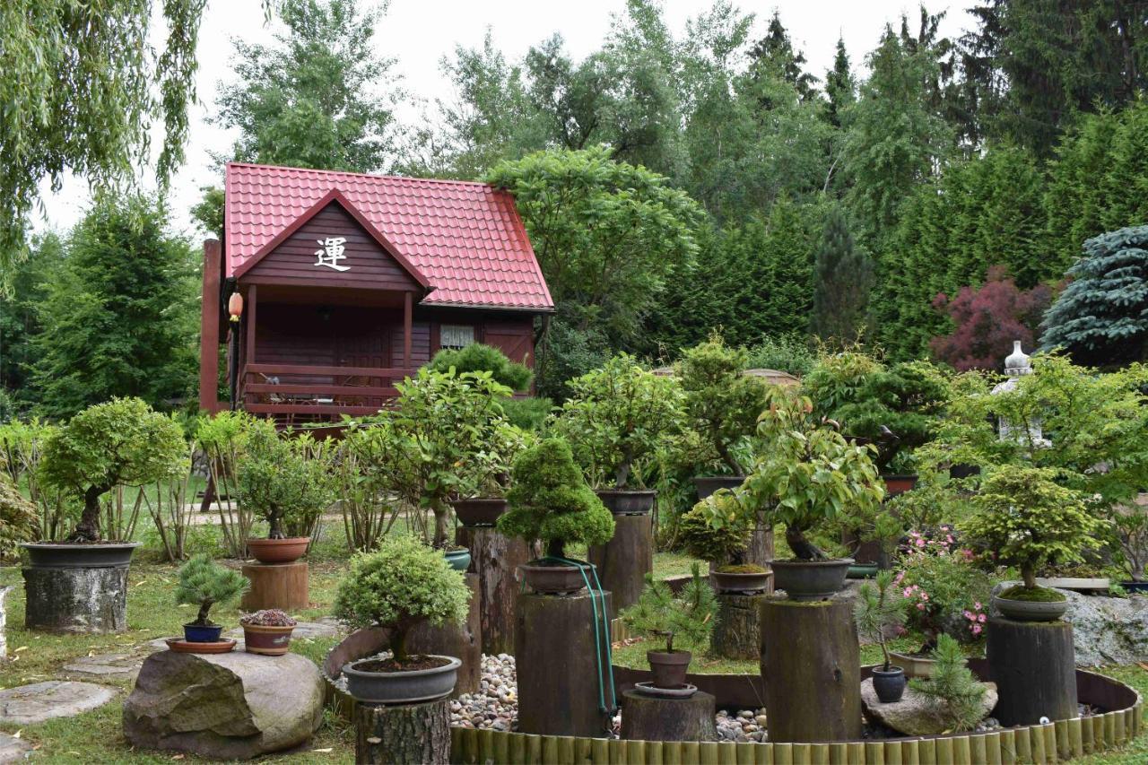 Ogród Shinrin Yoku Odpoczynek w Lesie Srokowo Exterior foto
