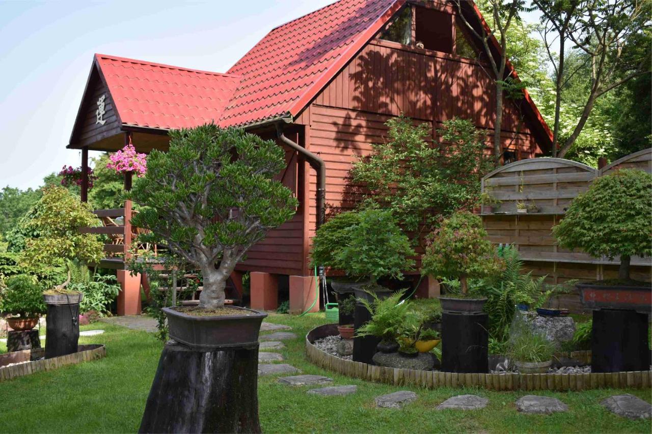 Ogród Shinrin Yoku Odpoczynek w Lesie Srokowo Exterior foto