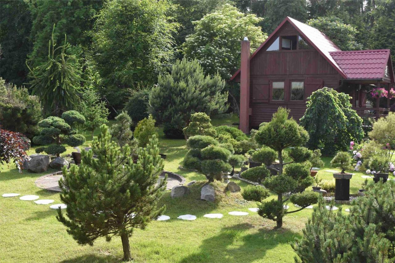 Ogród Shinrin Yoku Odpoczynek w Lesie Srokowo Exterior foto